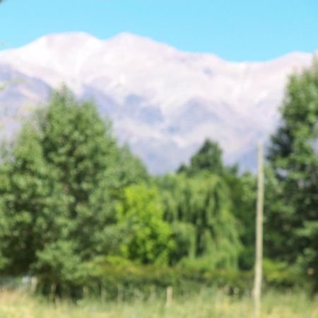 Cabana Uspallata, Mendoza. Para 4 Personas Villa Eksteriør billede